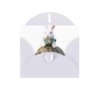 White HYTTER - Biglietto di auguri per Natale, compleanni e anniversari, motivo: coniglietto bianco sul retro di una tartaruga