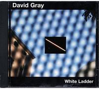 WHITE LADDER