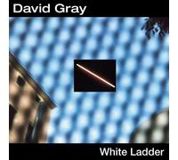 White Ladder by David Gray
