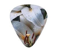 White Lily - Set regalo di plettri lisci e durevoli per chitarra acustica, elettrica e basso, regalo perfetto per gli amanti della chitarra e i musicisti