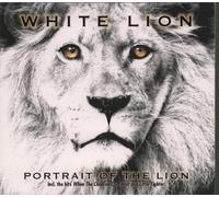 White Lion - Portrait Of The Lion