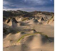 White Manna - Dune Worship