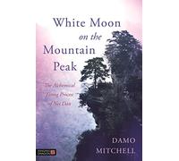 White Moon on the Mountain Peak: The Alchemical Firing Process of Nei Dan