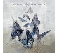 White Moth Black Butterfly The Cost of Dreaming (Vinyl LP) 12" Album