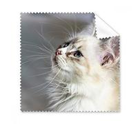 White Pet Cat Animal Profile cute stare occhiali panno di pulizia Gift Phone Screen Cleaner 5PCS
