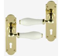 White porcelain Leva Maniglia Su Piastra Posteriore polished brass