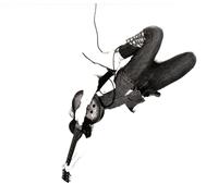 White Reaper The World's Best American Band (CD)