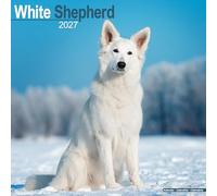 White Shepherd 2027 Calendar | Square Wall Calendar | Dog Breed Gift | Plastic Free Packaging | by Avonside Publishing