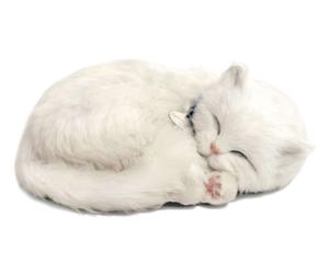 White Shortair Tabby- Il cucciolo che respira - PERFECT PETZZZ