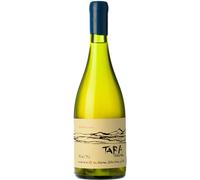 White Wine N°1 - Chardonnay 2022 - Tara Atacama
