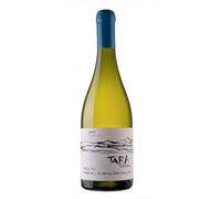White Wine N°3 - Sauvignon Blanc 2022 - Tara Atacama