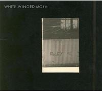 White Winged Moth - I Can See Inside Your House