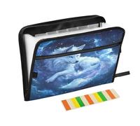 White Wolf Blue Galaxy - Cartella portadocumenti espandibile con etichette, 13 tasche a fisarmonica, organizer per documenti, formato A4, per scuola, ufficio