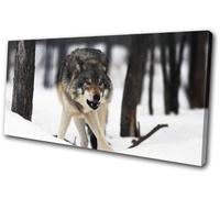 White Wolf Wild Snowy Woods Animals SINGLE TELA parete arte foto stampa