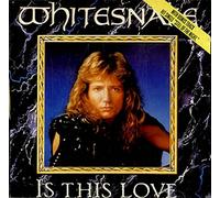 Whitesnake - Is This Love (1989 UK CD Single In Slicase)