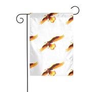 WHJDPP Bandiere da giardino con stampa di un'aquila fiammeggiante nel cielo notturno, 30,5 x 45,7 cm, per decorazione da cortile, larghezza di posizione del palo di 3 cm (solo bandiera, asta non