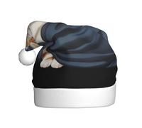 WHJDPP Gatto grasso coperto di coperta Immagine Cappello di Natale per Adulti per Natale, Halloween, Capodanno, saldi, promozioni