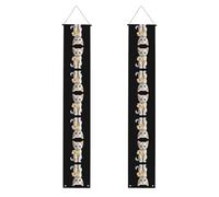 WHJDPP Striscione per portico di laurea con gattino con gamberetti, robusto, durevole, lavabile e riutilizzabile, decorazione di laurea per feste, cerimonie, porte d'ingresso