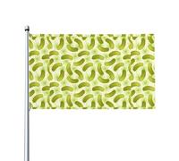 WHJDPP Sushi Dill Pickles Prints - Bandiera decorativa per esterni, 9 x 1,5 m, in poliestere resistente, per cortile, patio, portico e espositori festivi, colori vivaci e facile installazione