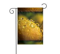 WHJSHOP Bandiere da giardino con stampa di gocce d'acqua, 30,5 x 45,7 cm, per decorazione da cortile, con asta larga 3 cm (solo bandiera, asta non inclusa)