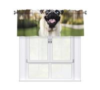 WHJSHOP Funny Happy Pug Dog - Tende corte con mantovana 137 x 45 cm, filtro della luce, facile installazione per cucina, bagno, lavanderia, studio