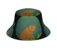 WHJSSF Capybara in The Mirror Prints Cappello alla pescatora riflettente per uomini e donne, per viaggi, campeggio, escursionismo, nero