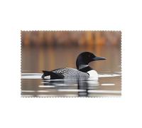 Whjssf Set di 6 tovagliette con stampa di uccelli Loon per tavolo da pranzo, 30,5 x 45,7 cm, per Natale, Halloween e uso quotidiano