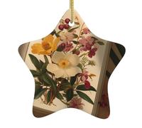 WHJWZY Decorazione natalizia in ceramica a forma di stella da appendere all'albero, ideale per le case, per feste di vacanza e per un pomeriggio piacevole stampato