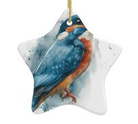 WHJWZY Decorazione natalizia in ceramica a forma di stella da appendere all'albero, ideale per le case, per feste di vacanza, martin pescatore ad acquerello con motivo preda