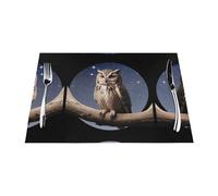 WHJWZY Tovaglietta all'americana in tessuto, 6 pezzi, 45,7 x 30,5 cm, resistente al calore, antiscivolo, lavabile, motivo: gufo sotto la luna