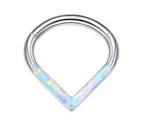 Whltzf Anelli da naso in acciaio alla moda a goccia anelli per setto alla moda ipoallergenici gioielli piercing per il naso trafitto alla moda amante della moda