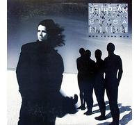 Who found who (1987, feat. Elisa Fiorillo) / Vinyl Maxi Single [Vinyl 12'']