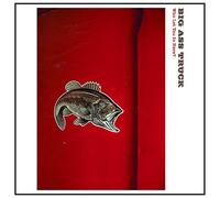 Big Ass Truck Who Let You In Here? (Vinyl LP)