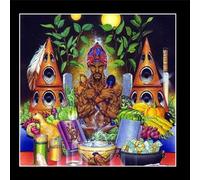 Wholistic Wellness For The Hip Hop Generation