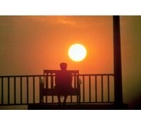 Whoopi Goldberg Il Colore Viola Foto Del Film [S265933] Scelta Di Dimensione