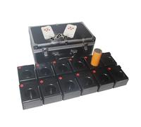 WHRAOY Accenditore per Fuochi D'Artificio A Freddo- con Valigia, Ricevitore 6/8/12 PCS + 2 Telecomando Senza Fili, Mini Fontana per Fuochi D'Artificio Freddi, per Il Palco della Festa,12pcs