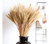 Whrcy 100Pezzi Grano Secco, Fiori Artificiali Finti Grano Fiori Artificiali Spighe Di Grano Per La Disposizione Del Tavolo Da Pranzo Di Casa Decorazione Di Nozze Di Arte Floreale Di Fiori Fai Da Te