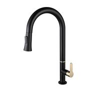 WHSY127 Black Electroplated Single Handle Kitchen Faucet with Pull-Down Sprayer for And Easy Use Beautiful