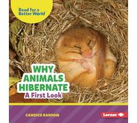 Why Animals Hibernate: A First Look