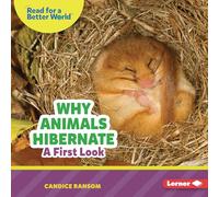 Why Animals Hibernate: A First Look
