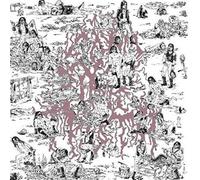 Why Do The Heathen Rage? - The Soft Pink Truth (Audio cd)