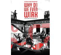 Why Do We Even Work (DVD) Laetitia Vitaud Guillaume Mougin Florent Vinouze
