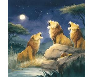 Why Does A Lion Roar?: A Why Does...? Book