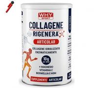 WHY Sport, Collagene Rigenera Articolar, 336 g Collagene Magnesio Vitamina C MSM