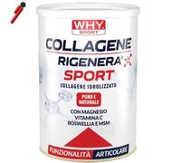 WHY Sport, Collagene Rigenera Sport, 336 g Collagene Magnesio Vitamina C MSM