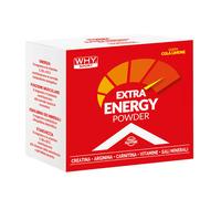 WHY Sport Extra Energy Powder 20 bustine da 10 gr