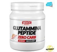 WHY SPORT GLUTAMMINA PEPTIDE ZERO CARB - 330 gr