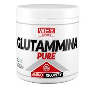 WHY SPORT GLUTAMMINA PURE 250 GR