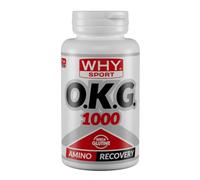 WHY SPORT OKG 1000 - Integratore Alimentare a Base di L-Ornitina α-Chetoglutarato - 60 Compresse