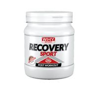WHY SPORT POST WORKOUT RECOVERY SPORT CIOCCOLATO 400 g W408